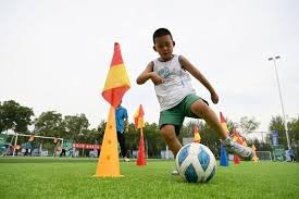 乒乓球世界排名更新 国乒整体优势依旧